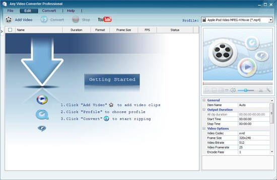 Any Video Converter Professional License Key